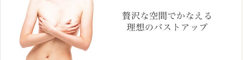 ����/�ڍ����o�X�g���A�L����p�Ȃ�y���R���u�N���j�b�N�z���T�C�g